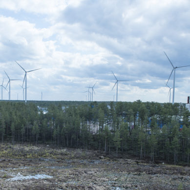 ”Tuulivoimatuet antavat veronmaksajille monin verroin enemmän kuin maksavat”