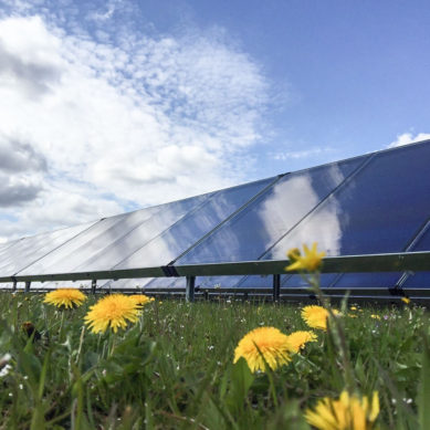Savo-Solarille on myönnetty Tekesin projektirahoitusta